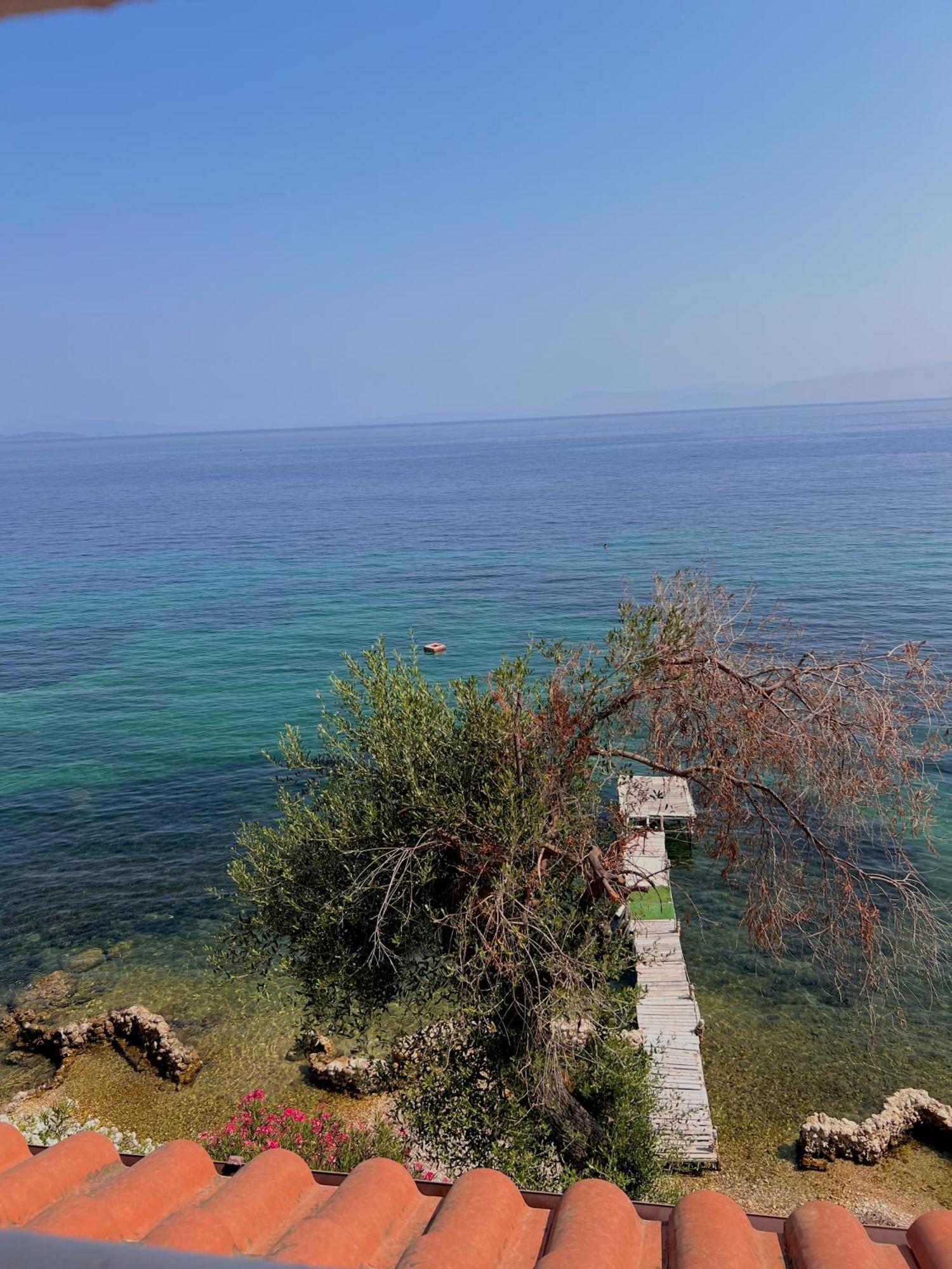 Kohyli Beachfront House Agia Pelagia Chlomou Exteriör bild